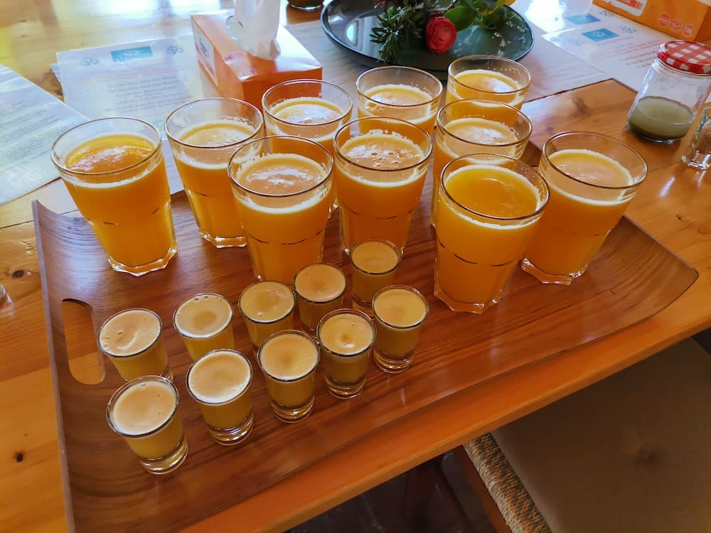 Juice or Water: Why We Choose Juice