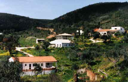 detox fasting valley