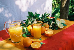 juice-fasting fresh juice